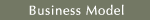 Business Model